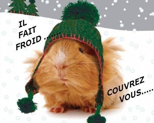 il-fait-froid